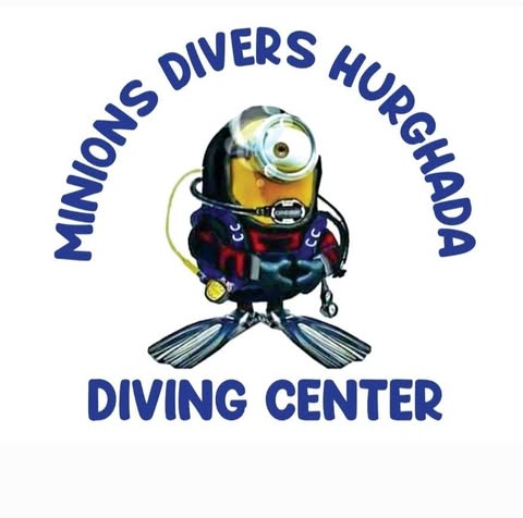 Minion Divers