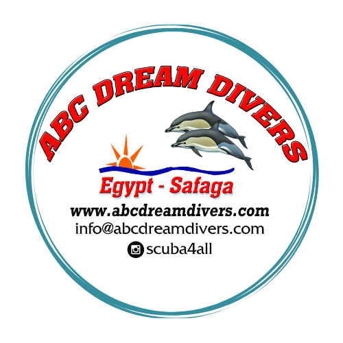 ABC Dream Divers