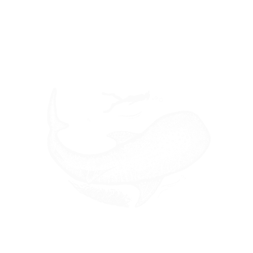 DivExplore