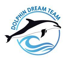 Dolphin Dream