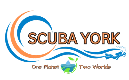 Scuba york