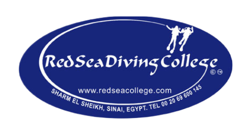 Red Sea Diving College