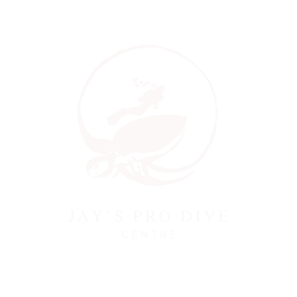 Jays Pro Dive Centre