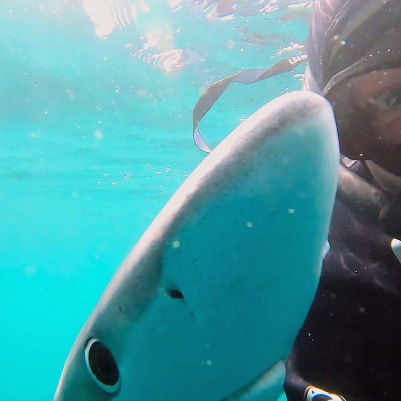 profile for keithgood