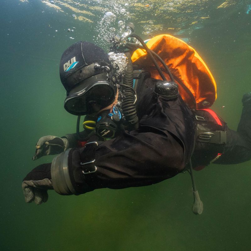 profile for sharkieshark444