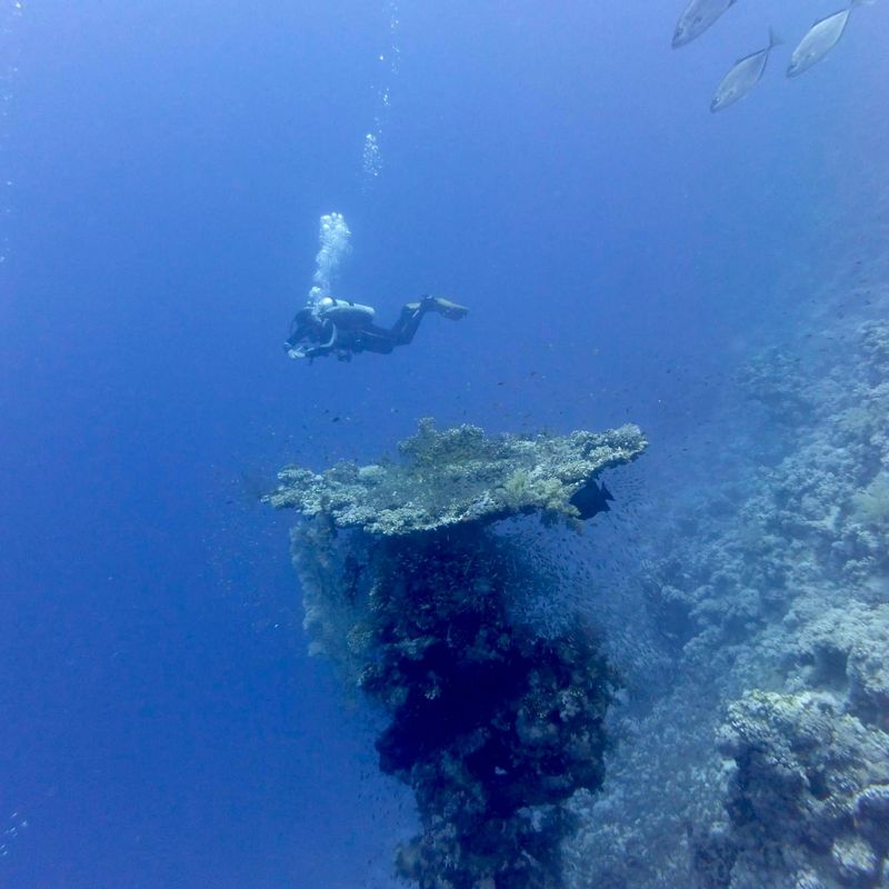 profile for tylerv2001