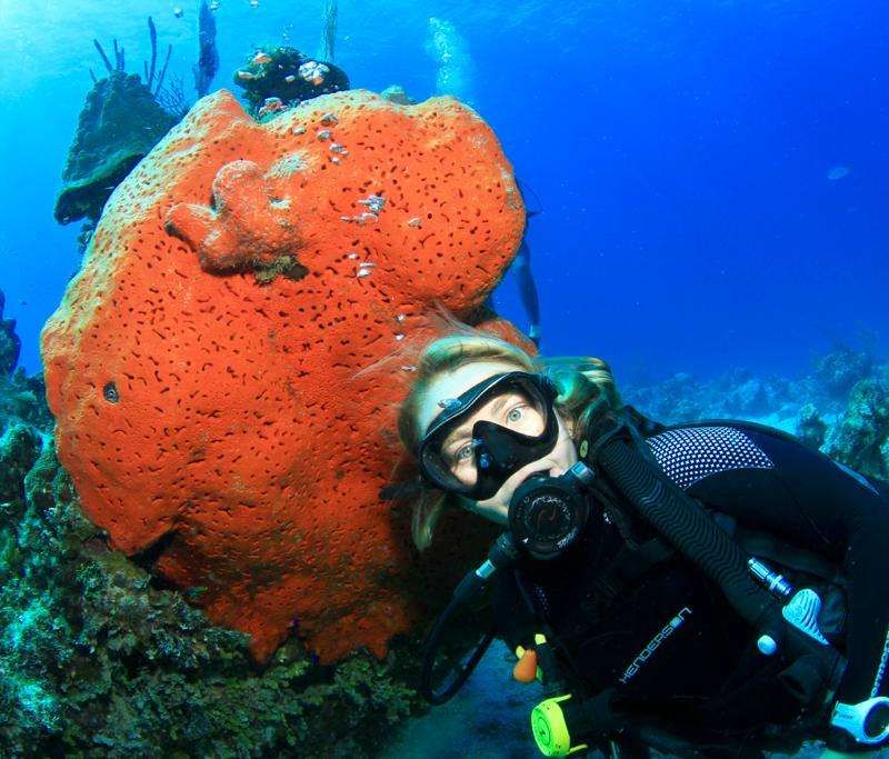 profile for kharrison