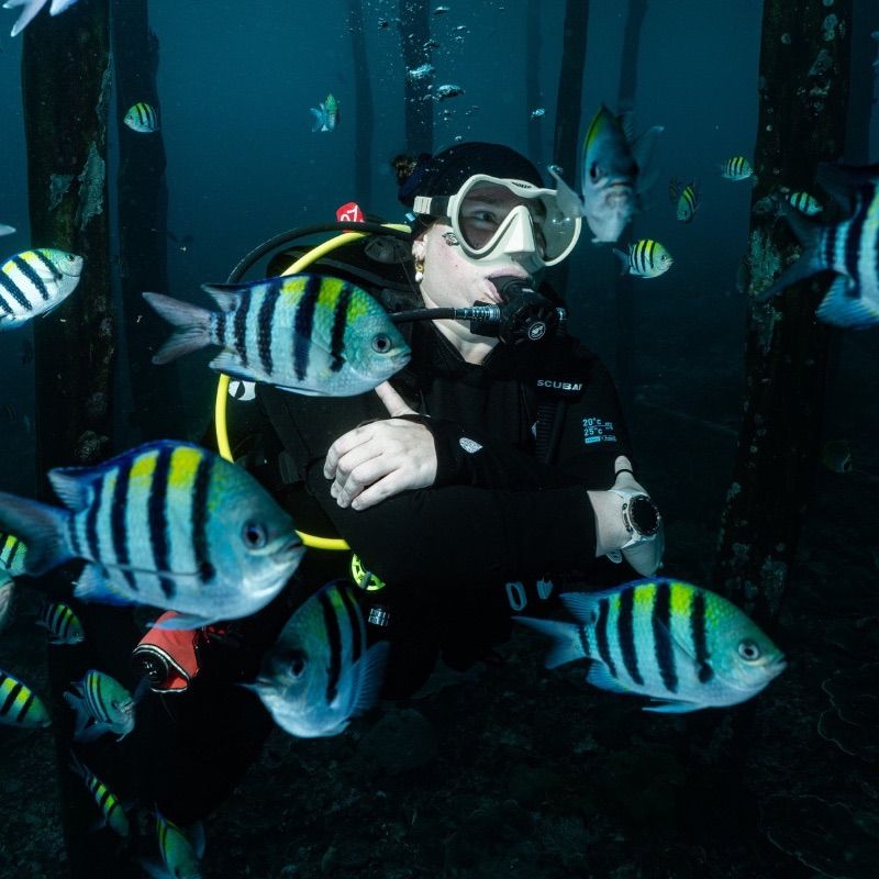 profile for astimeout