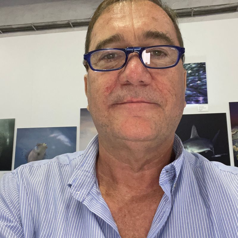 profile for carlosjunquerq